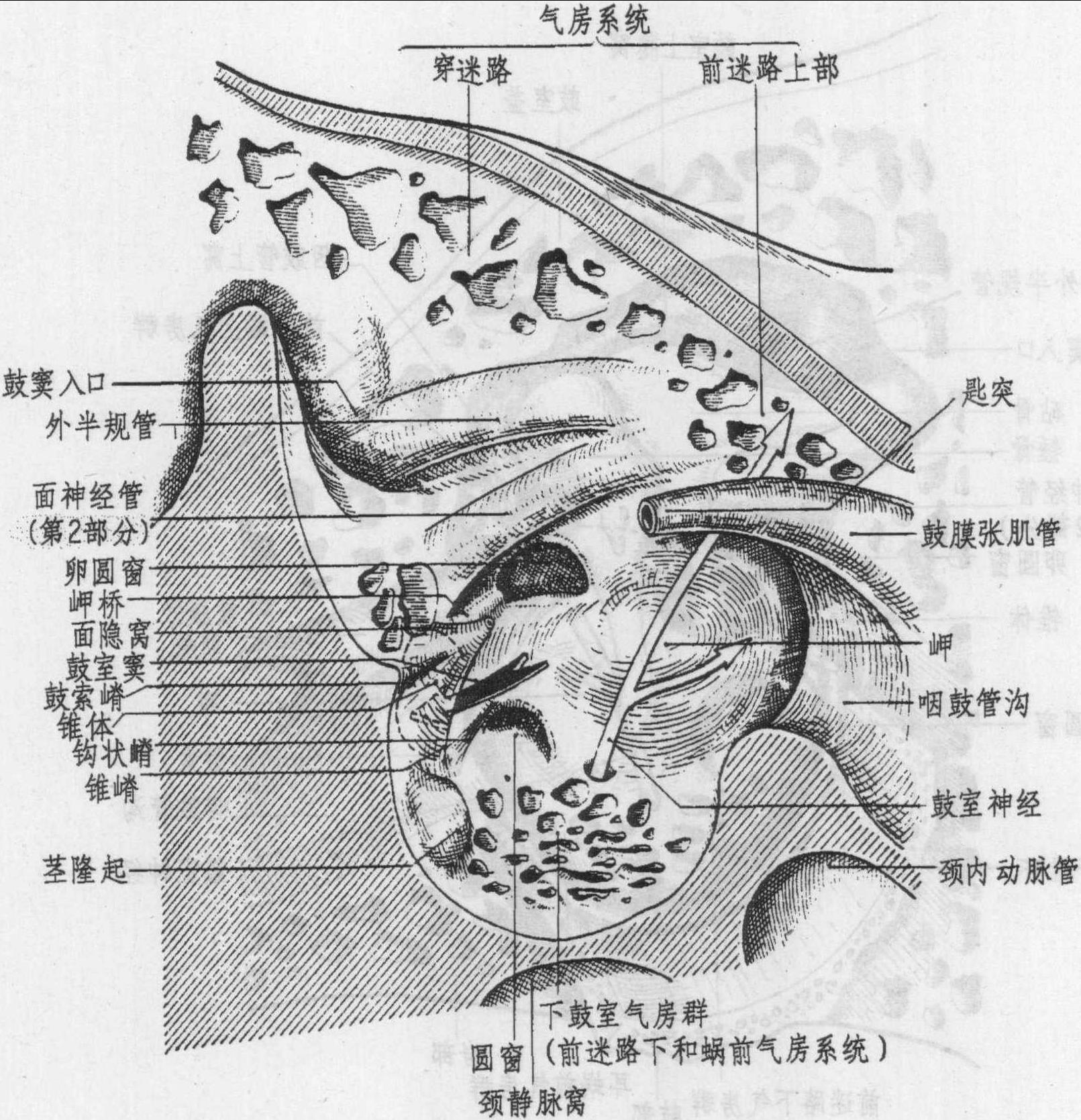 二、內(nèi)壁(圖4-4)